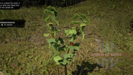 Golden Currant in RDR 2