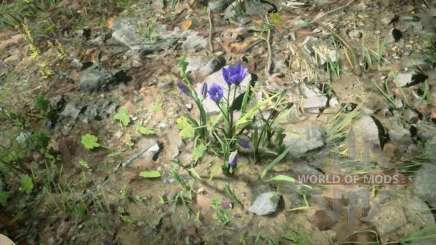 Violet snowdrops in RDR 2