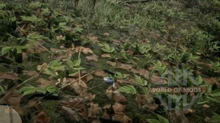 Sparrow's egg Orchid in RDR 2