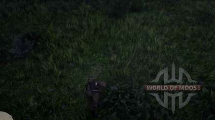 Milkweed in RDR 2