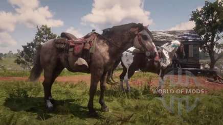 Two horses on the hunt in RDR 2