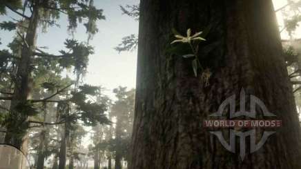 Acuna’s Star Orchid in RDR 2