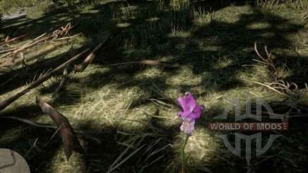 Dragon's mouth Orchid in RDR 2