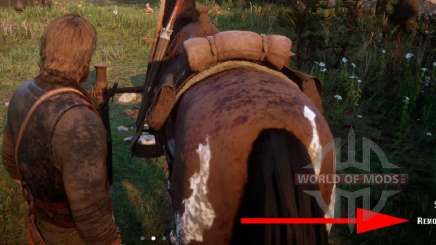 How to remove the saddle in RDR 2