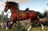 Hunting wild horses in RDR 2
