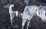 How to change a horse in RDR 2?