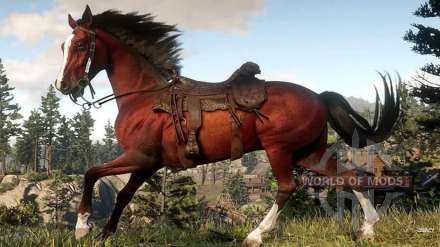Wild horses in RDR 2: how to catch, how to ride and tame a horse