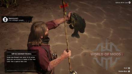 The legendary Bluegill Solarian in RDR 2: how to catch a fish