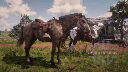Best saddles in Red Dead Redemption 2: recommended models