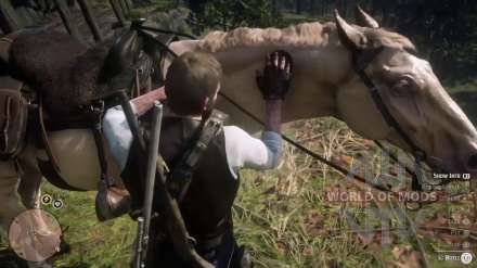 Where to find a horse Buell in RDR 2? Location map and mission description