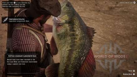 Legendary largemouth bass in RDR 2: where to look, how to catch