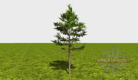 Forestry trees for Farming Simulator 2015