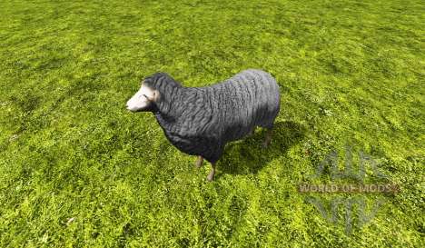 Sheep static for Farming Simulator 2015
