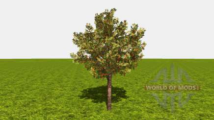 Fruit and berry trees v1.1 for Farming Simulator 2015