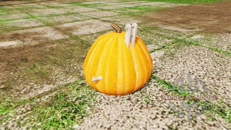 Pumpkin weight for Farming Simulator 2017