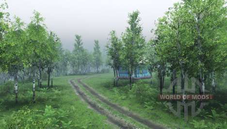 Birch forest for Spin Tires