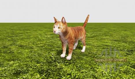 Cat for Farming Simulator 2017