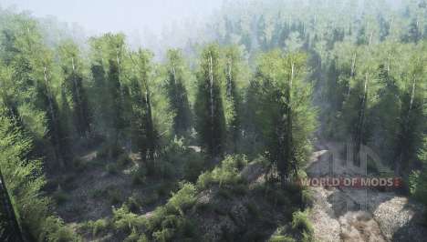 Birch forest for Spintires MudRunner