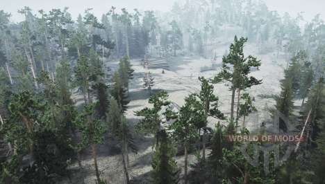 Coniferous forest for Spintires MudRunner
