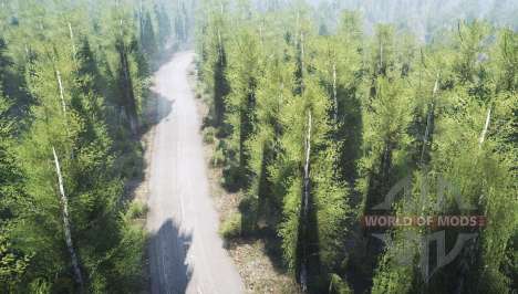 Birch forest for Spintires MudRunner