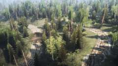 Infernal forest for MudRunner