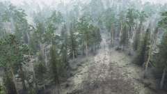 Coniferous forest for MudRunner