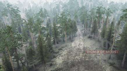 Coniferous forest for MudRunner