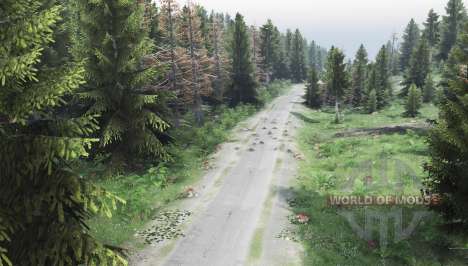 Forest for Spin Tires