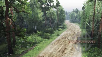Spooky forest for Spin Tires