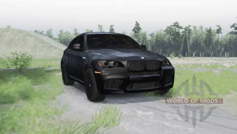BMW X6 M for Spin Tires