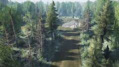 Forest for MudRunner