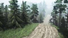 Extreme roads C. Petrashovka for MudRunner