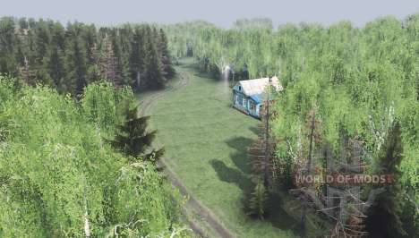 Siberian forest for Spin Tires
