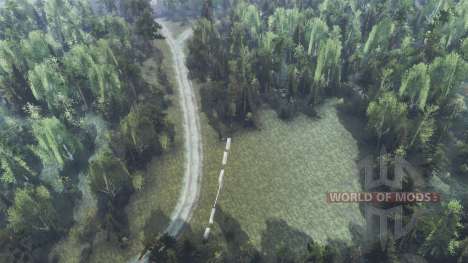 The dense forest for Spin Tires