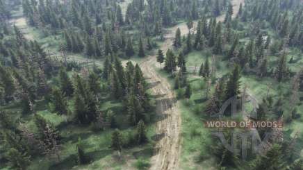 Creepy Forest for Spin Tires