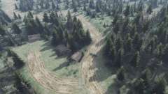 Forest for Spin Tires