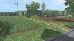 Biedrzychowice micro for Farming Simulator 2015